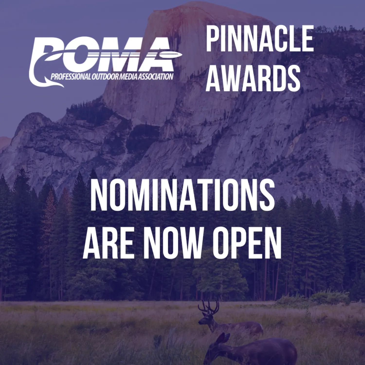 Pinnacle Awards Nominations Now Open