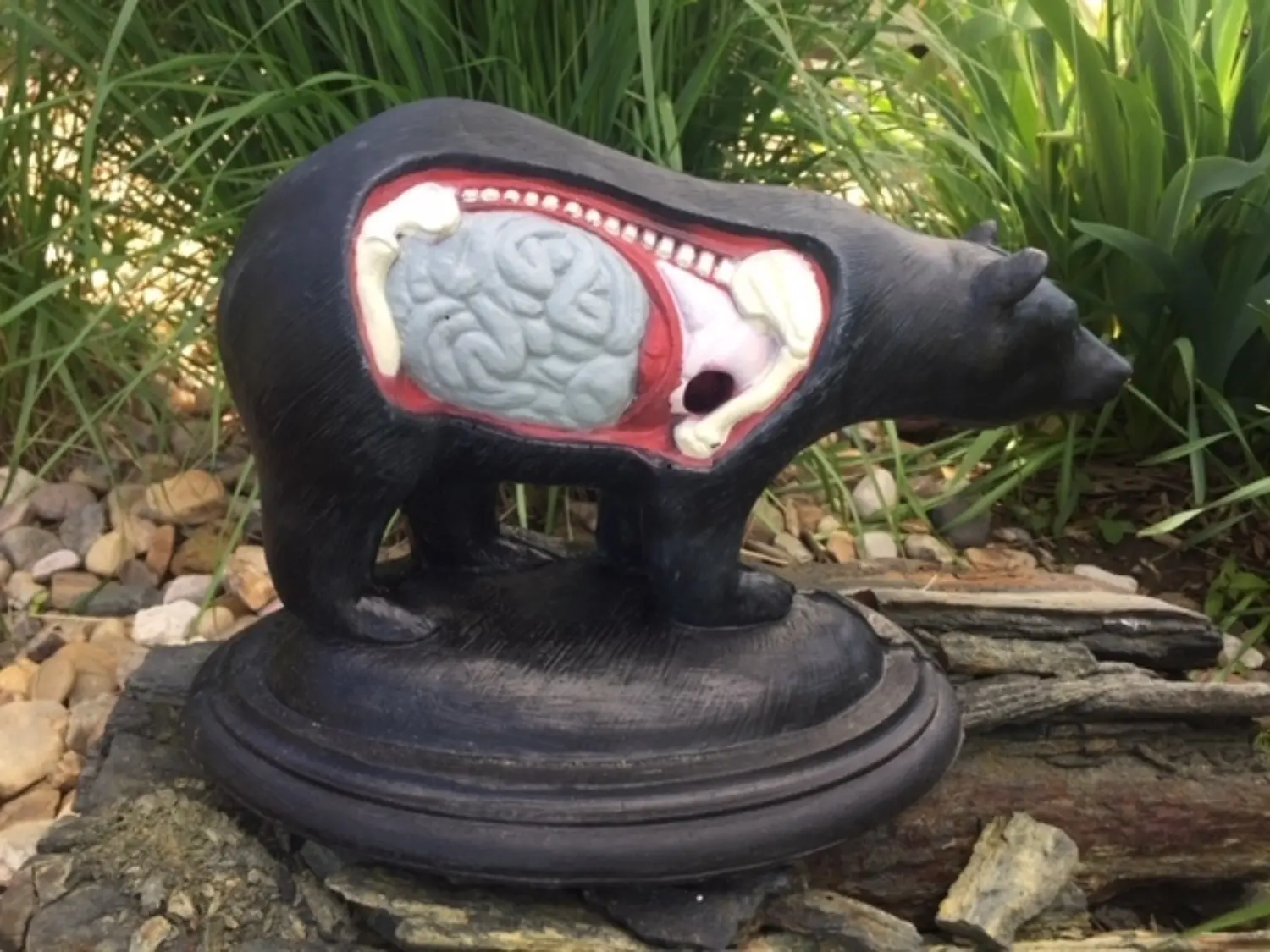 NBEF MINIBEAR ANATOMY