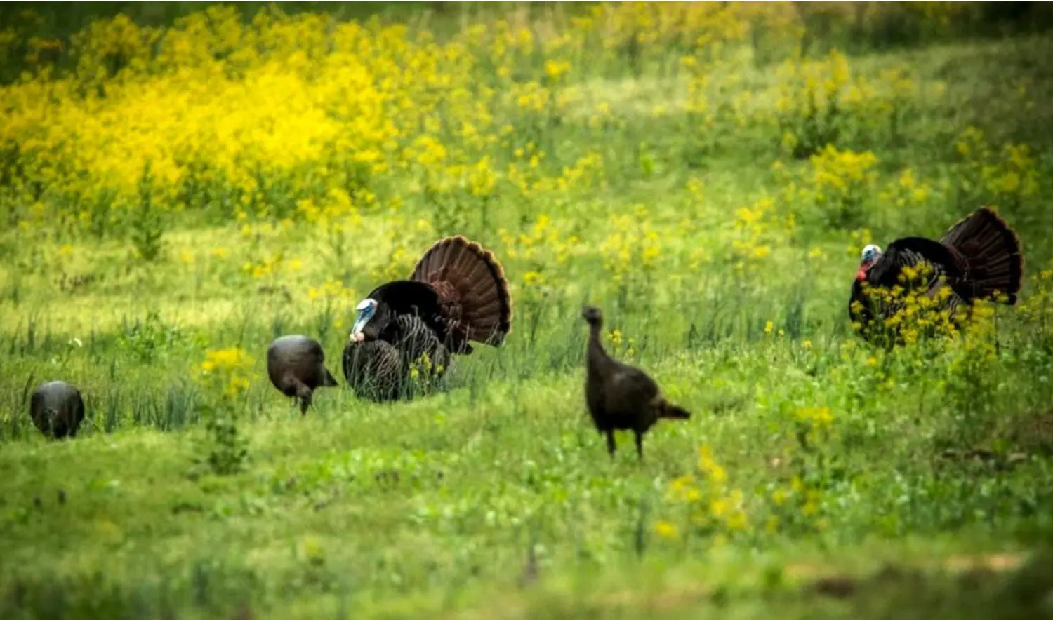 Screenshot 2026 04 08 at 10 52 44 AM