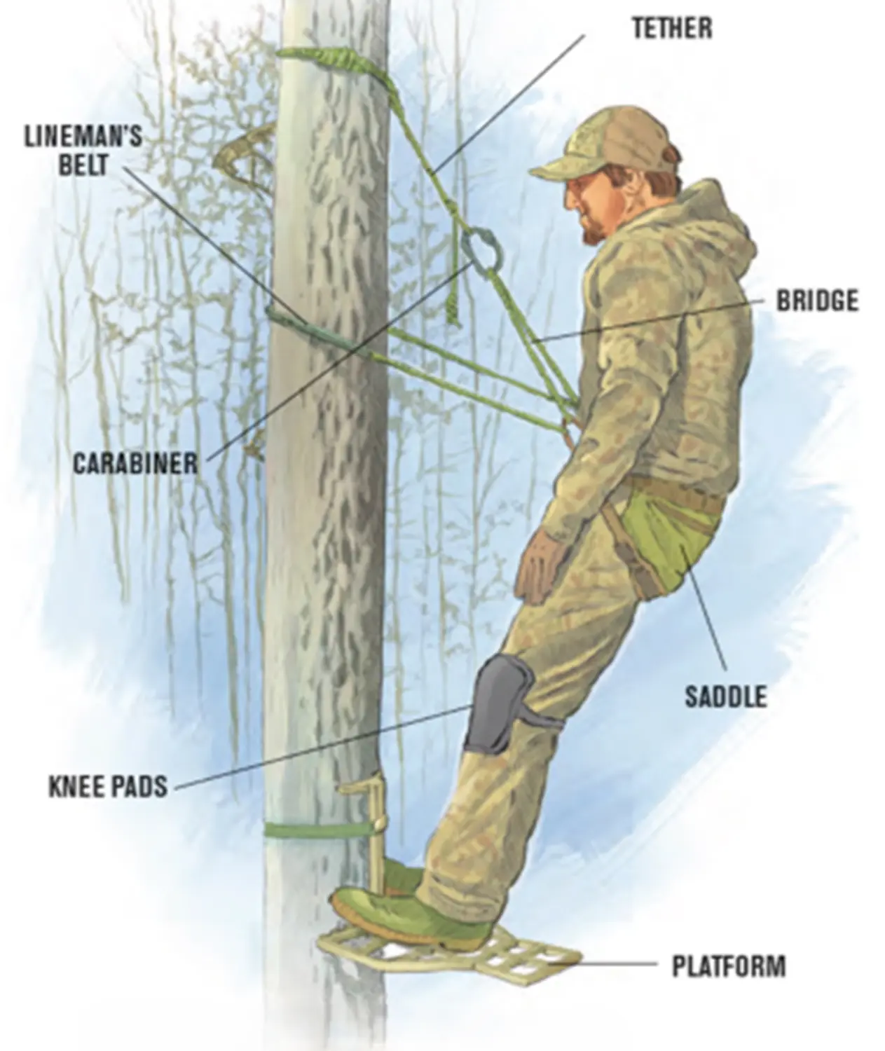 Hunting Saddle Bowhunter Magazine NBEF