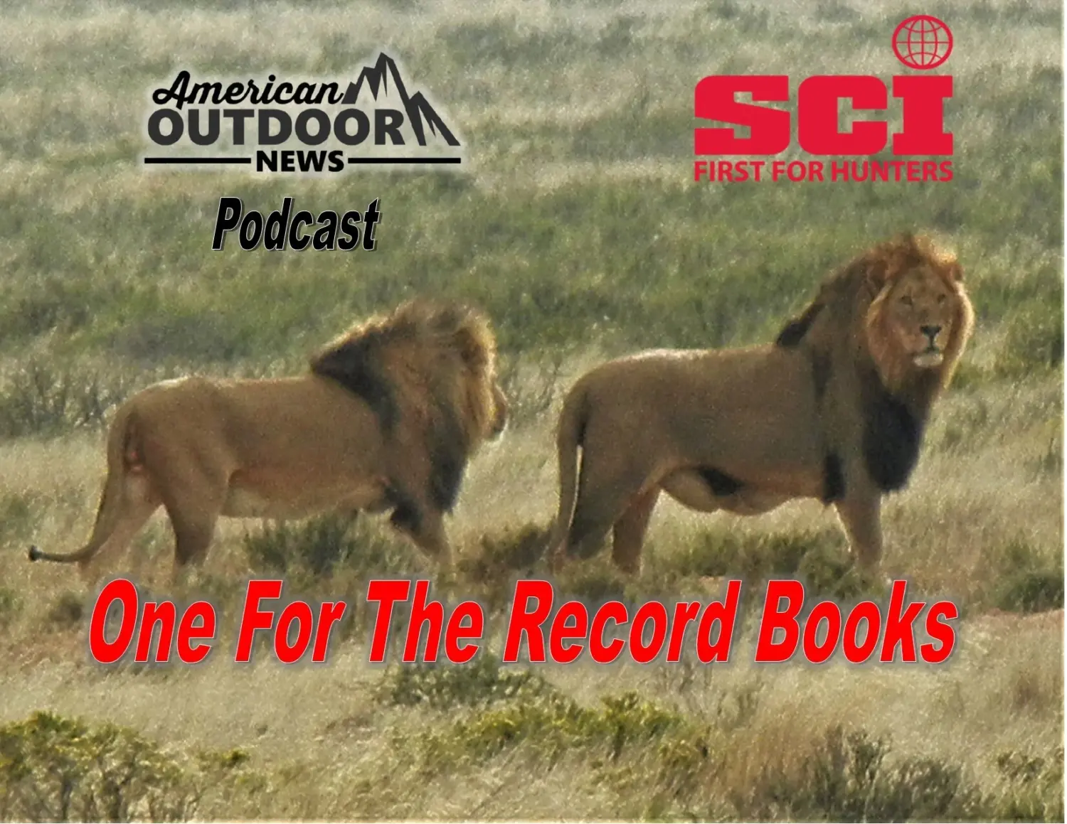 One for the record books