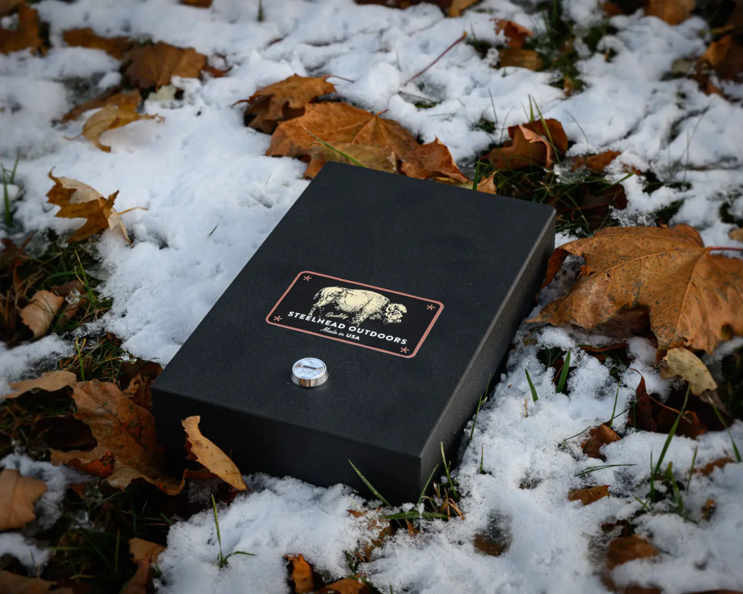 Steelhead Drifter in snow